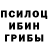 Галлюциногенные грибы Psilocybe Abeke YT