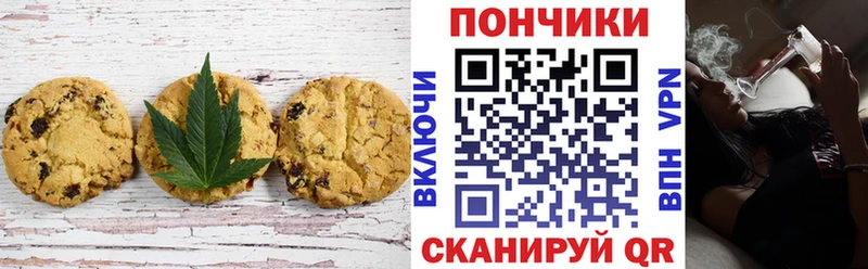 Купить закладки  Тулун  Canna-Cookies конопля 