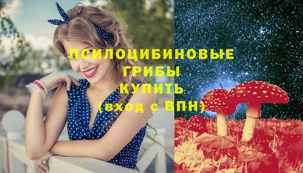 первитин Белокуриха