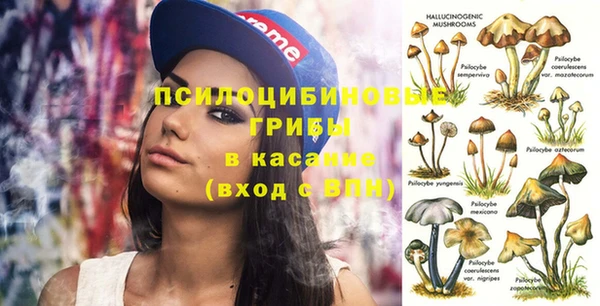 гидропоника Беломорск