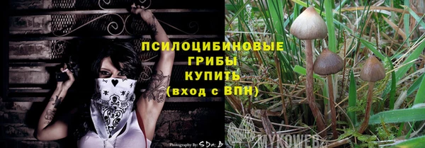 первитин Белокуриха